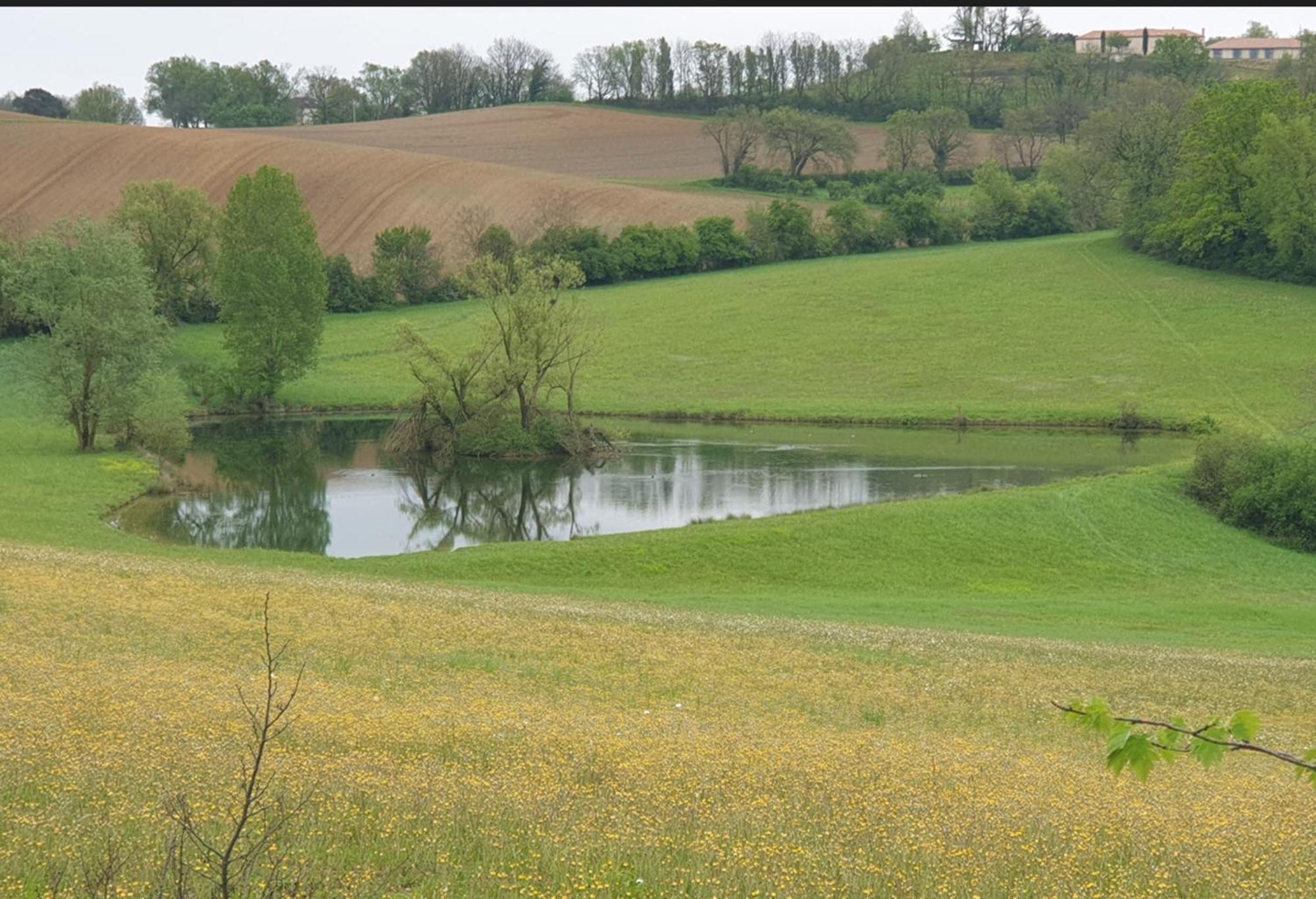Puygaillard-de-Quercy Love Room- Spa- Escale Amoureuse מראה חיצוני תמונה